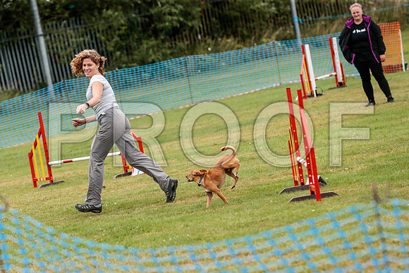 2643_SpringersFunDay2019_craigshawphoto