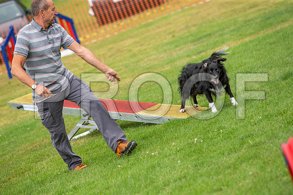 1020_SpringersFunDay2019_craigshawphoto