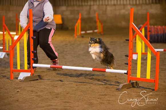 373_springfling2015_bluplanetphoto
