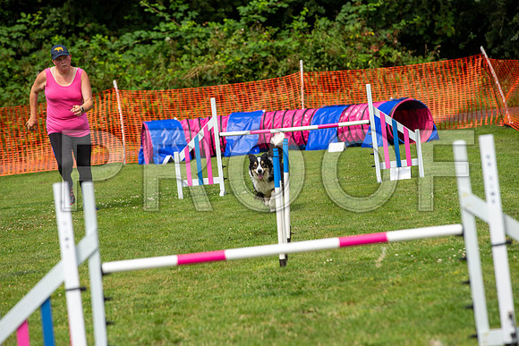 1864_SpringersFunDay2019_craigshawphoto