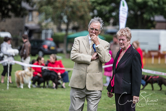 1102_BarkintheParkHuddersfield_2014_bluplanetphoto