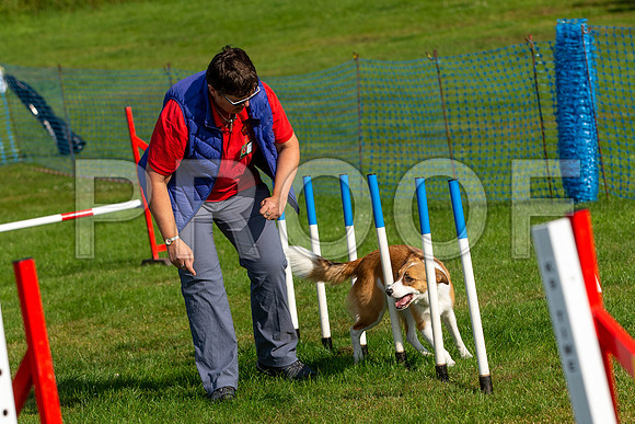 0178_SpringersFunDay2019_craigshawphoto