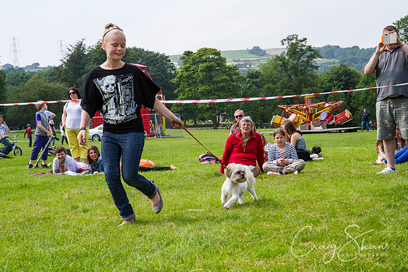 RSPCA Dog Day Afternoon