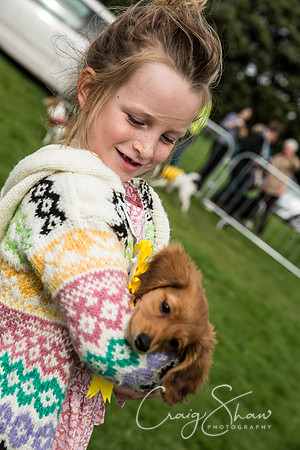 431_Woofstock2016_craigshaw