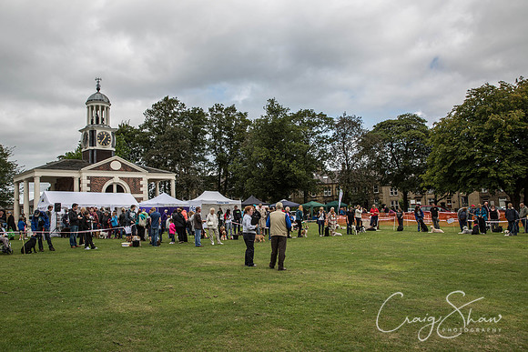 76_BarkintheParkHuddersfield_2014_bluplanetphoto