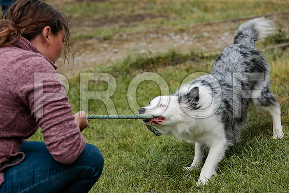 3276_SpringersFunDay2019_craigshawphoto