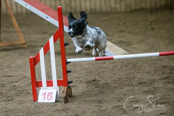 1380_springfling2015_bluplanetphoto