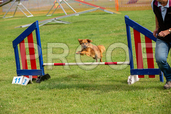 0659_SpringersFunDay2019_craigshawphoto