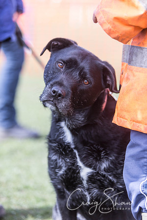1122__SpringersFunDay_March2014_bluplanetphoto