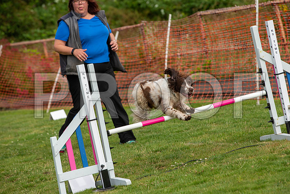 0671_SpringersFunDay2019_craigshawphoto