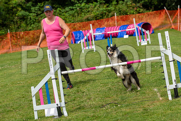 1875_SpringersFunDay2019_craigshawphoto