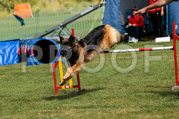 3344_SpringersFunDay2019_craigshawphoto