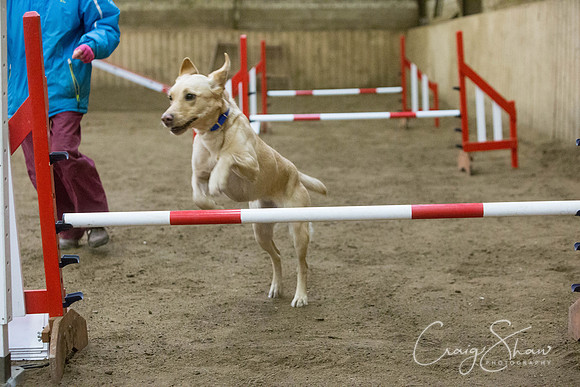 2542_springfling2015_bluplanetphoto