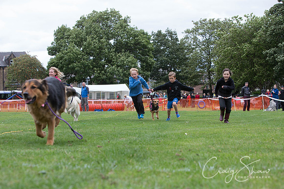 1859_BarkintheParkHuddersfield_2014_bluplanetphoto