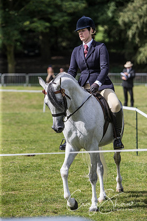 54_TodAgriculturalShow2014__bluplanetphoto