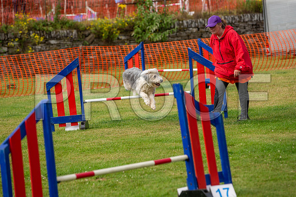 1159_SpringersFunDay2019_craigshawphoto