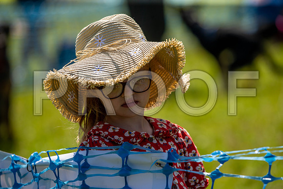 2353__PAWSFundogShow_July2022_cshaw