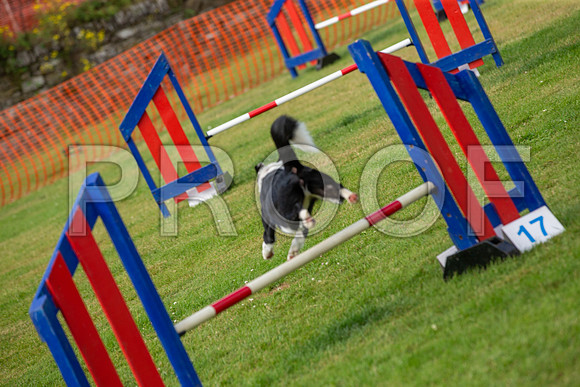 1244_SpringersFunDay2019_craigshawphoto