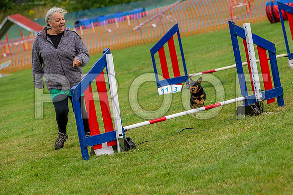 0274_SpringersFunDay2019_craigshawphoto