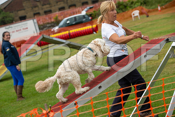1034_SpringersFunDay2019_craigshawphoto