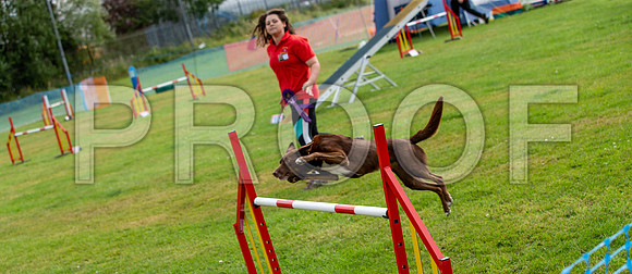 0820_SpringersFunDay2019_craigshawphoto