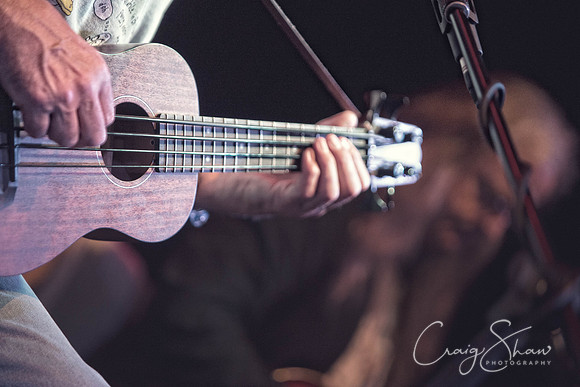 55_FairportConvention_TradesClubMay2014_craigshaw