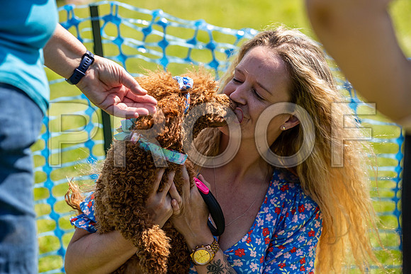 2774__PAWSFundogShow_July2022_cshaw