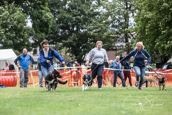 1919_BarkintheParkHuddersfield_2014_bluplanetphoto