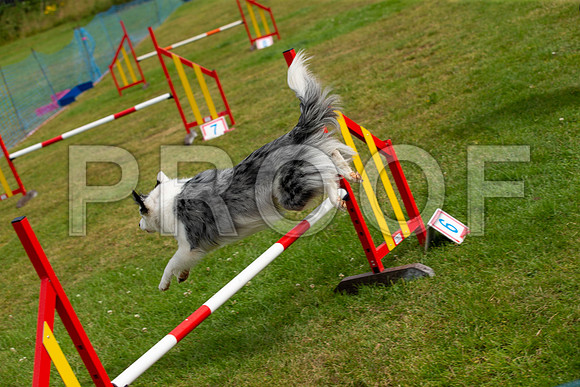 1630_SpringersFunDay2019_craigshawphoto