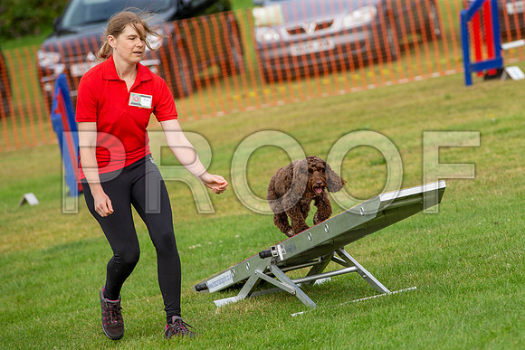 0583_SpringersFunDay2019_craigshawphoto