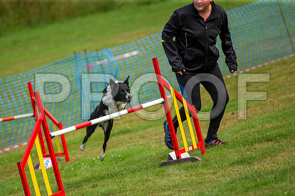 0891_SpringersFunDay2019_craigshawphoto