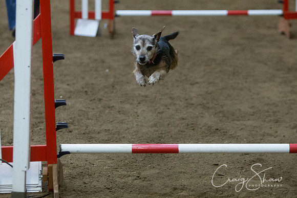 2858_springfling2015_bluplanetphoto