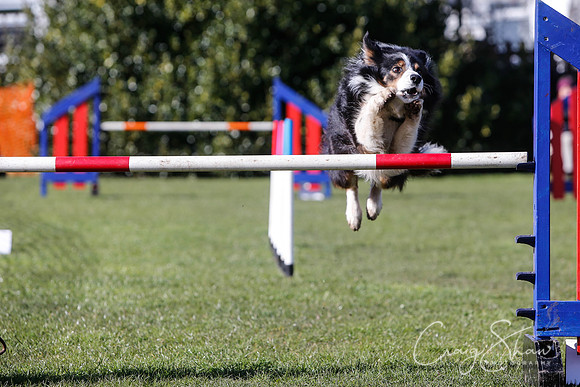 1651__SpringersFunDay_March2014_bluplanetphoto