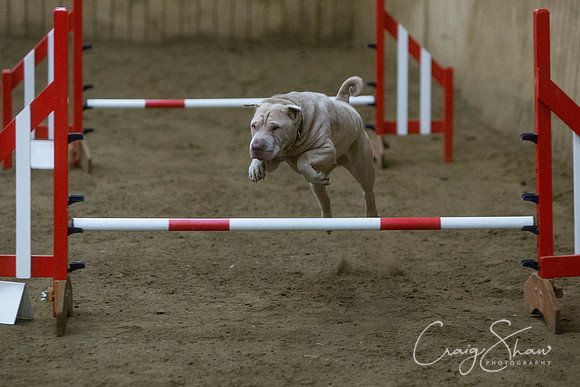 2836_springfling2015_bluplanetphoto