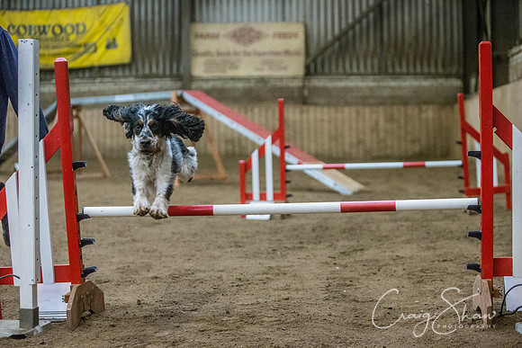 1466_springfling2015_bluplanetphoto