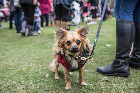 1089_BarkintheParkHuddersfield_2014_bluplanetphoto