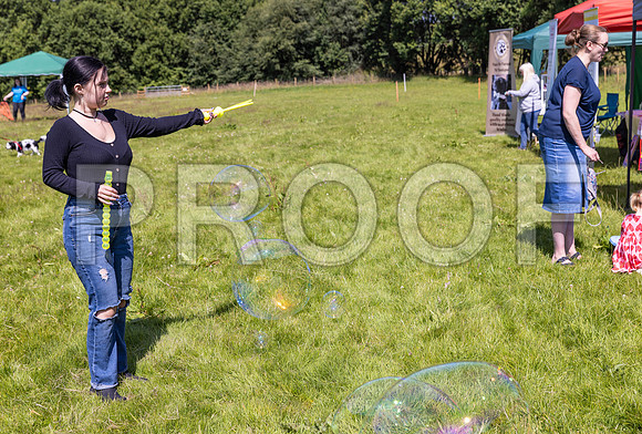 346__PAWSFundogShow_July2022_cshaw