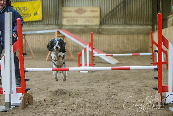 1464_springfling2015_bluplanetphoto
