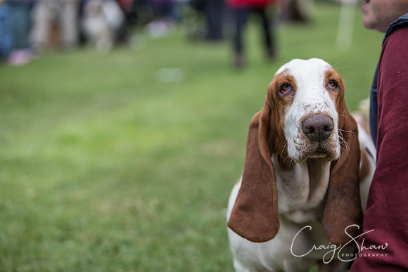 1027_BarkintheParkHuddersfield_2014_bluplanetphoto