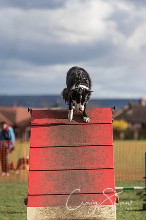 2169__SpringersFunDay_March2014_bluplanetphoto