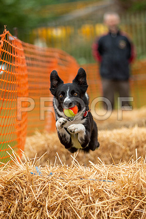 2868_SpringersFunDay2019_craigshawphoto