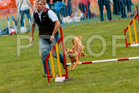 2661_SpringersFunDay2019_craigshawphoto