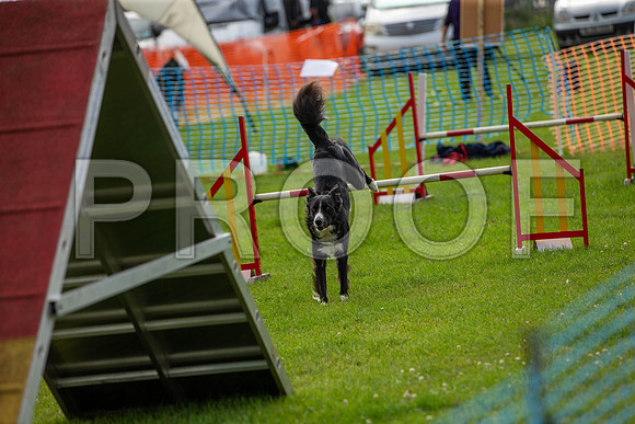 0681_SpringersFunDay2019_craigshawphoto