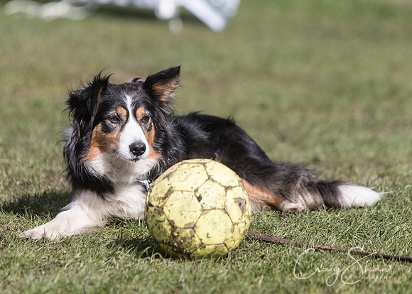 52__SpringersFunDay_March2014_bluplanetphoto