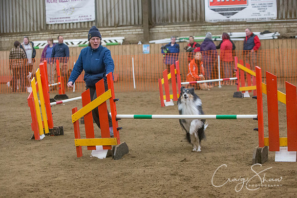 2534_springfling2015_bluplanetphoto
