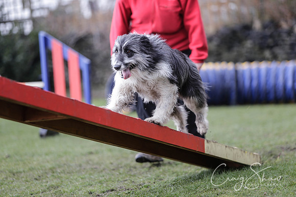 496__SpringersFunDay_March2014_bluplanetphoto