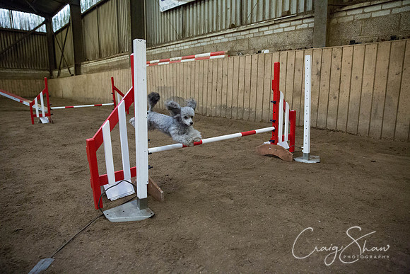 911_springfling2015_bluplanetphoto