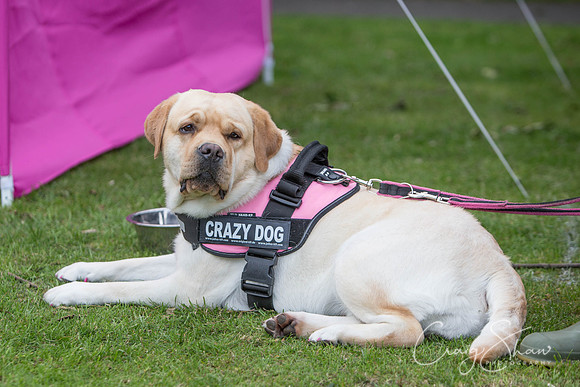 243_BarkintheParkHuddersfield_2014_bluplanetphoto