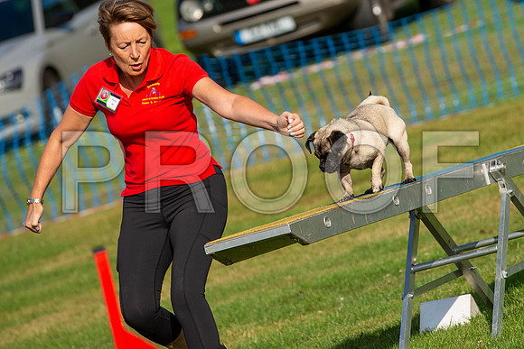 0091_SpringersFunDay2019_craigshawphoto
