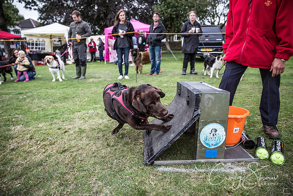 1691_BarkintheParkHuddersfield_2014_bluplanetphoto